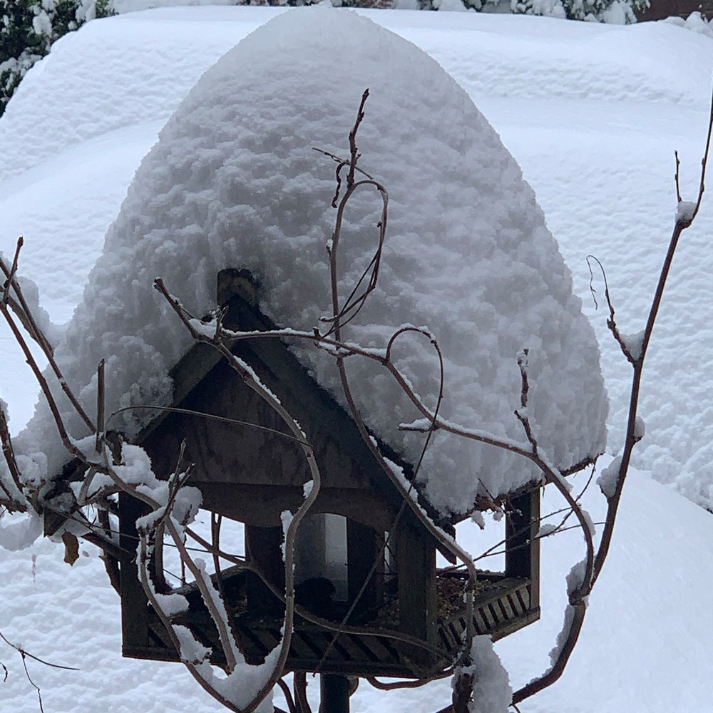 Meet your Posher, Irolav